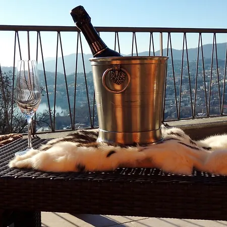 Sonniges Paradies Mit Seeblick Und Panoramaterrasse Apartmán Lugano